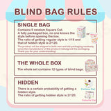 Square Cat Series Blind Bag