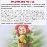 Cino's Garden Fairies Series Plush Blind Box