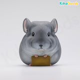 Animal Nebula Pocket Cute Zoo Series Blind Box