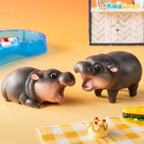 Animal Heavenly Body Thailand Moodeng Series Blind Box