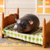 Animal Heavenly Body Thailand Moodeng Series Blind Box