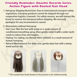 Akashic Records Series Special 1/6 Action Figure BJD Blind Box